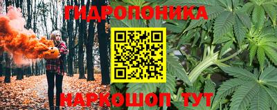 наркотики Будённовск