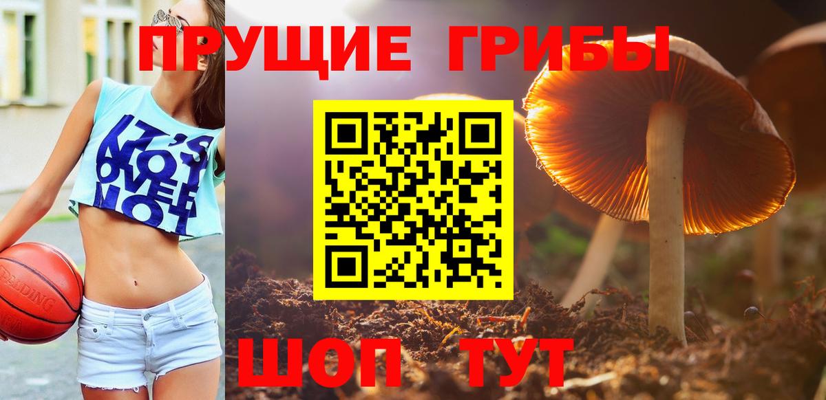 Псилоцибиновые грибы Psilocybine cubensis  Псилоцибиновые грибы Psilocybe  Вход с VPN  Коряжма 