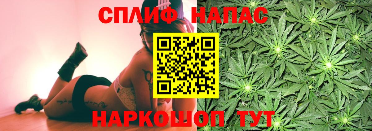 Каннабис конопля Коряжма